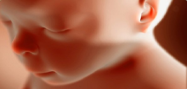 unborn_baby.jpg