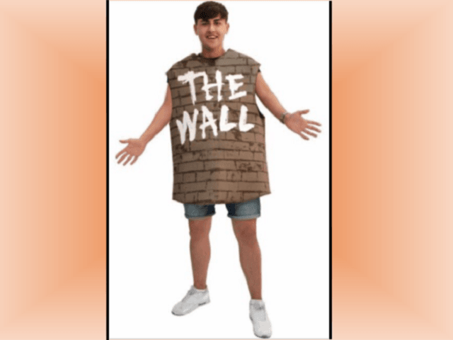 Border-Wall-Costume-640x480.png