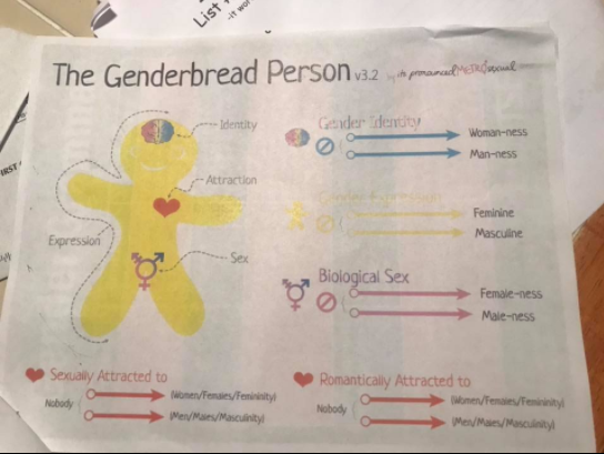 genderbread-person.png