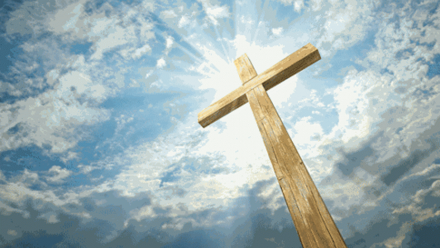 1498742710427.gif