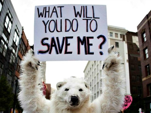 Polar-Bear-Cold-Weather-JIM-WATSONAFPGetty-Images-640x480.jpg